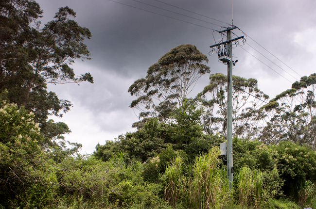 Bushfire Mitigation NOJA Power OSM Recloser in Queensland, Australia.
