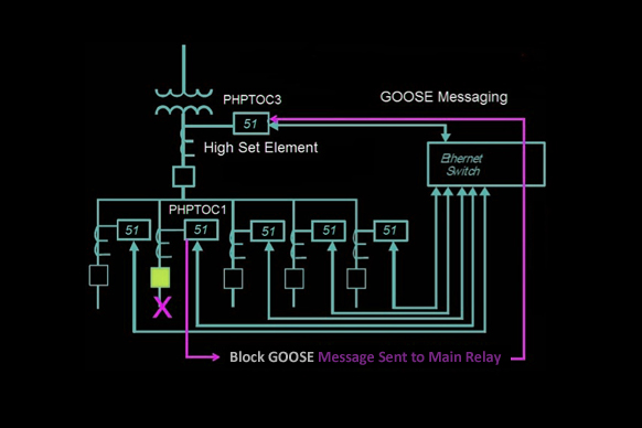 GOOSE diagram